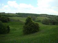 Фото села, в якому вже ніхто не живе...