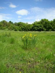 Фото села, в якому вже ніхто не живе...