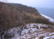 Фотогалерея 'ЗОРІ ВИТИЧ'