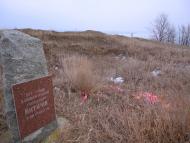 Фотогалерея 'ЗОРІ ВИТИЧ'