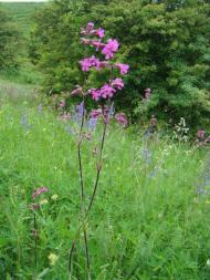 Фото села, в якому вже ніхто не живе...