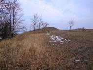 Фотогалерея 'ЗОРІ ВИТИЧ'