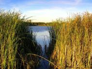 Село Казанки