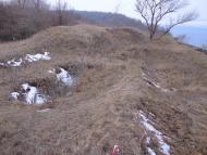 Фотогалерея 'ЗОРІ ВИТИЧ'