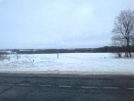 Пишненки - Останні фото