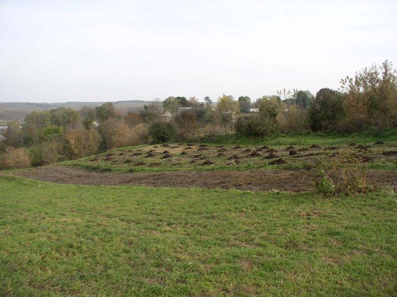 Мое село - Держаки