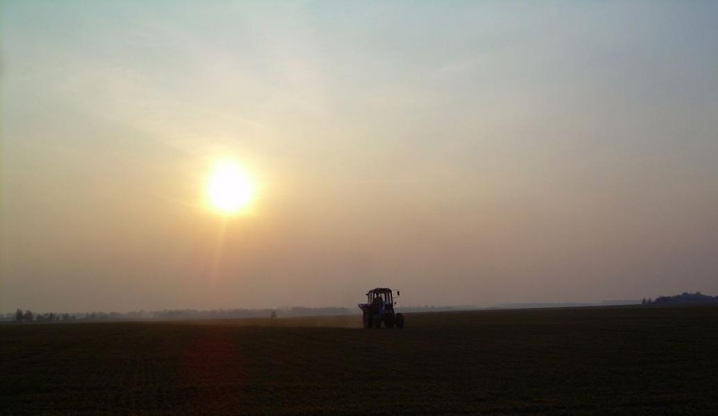 в полях - Ивча