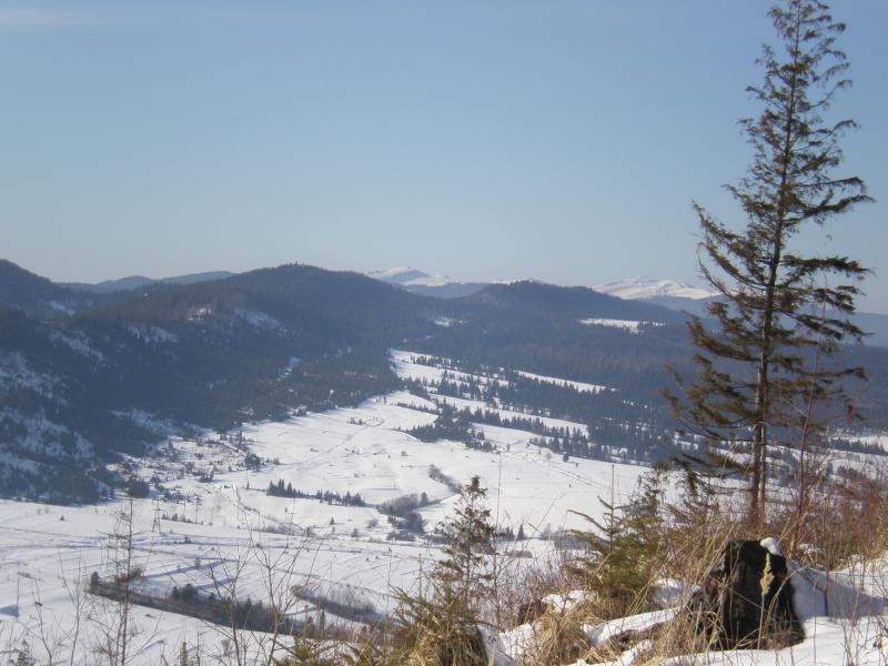Краєвиди с.Бітля - Бітля