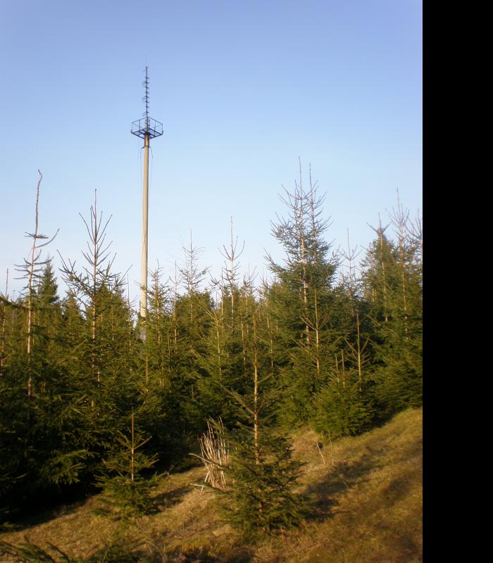 Краєвиди с.Бітля - Битля