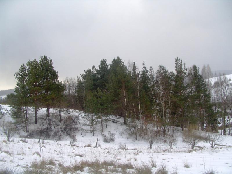 Зима - Росохи