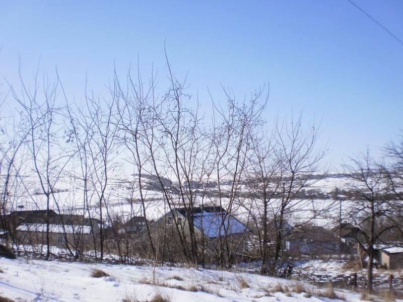 Рингач - Рингач