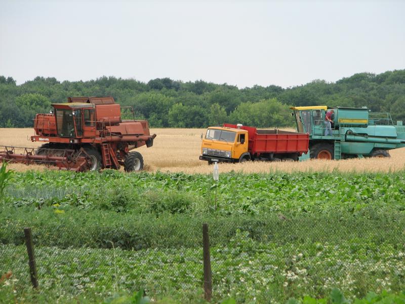 Фастівські поля - Фастівка