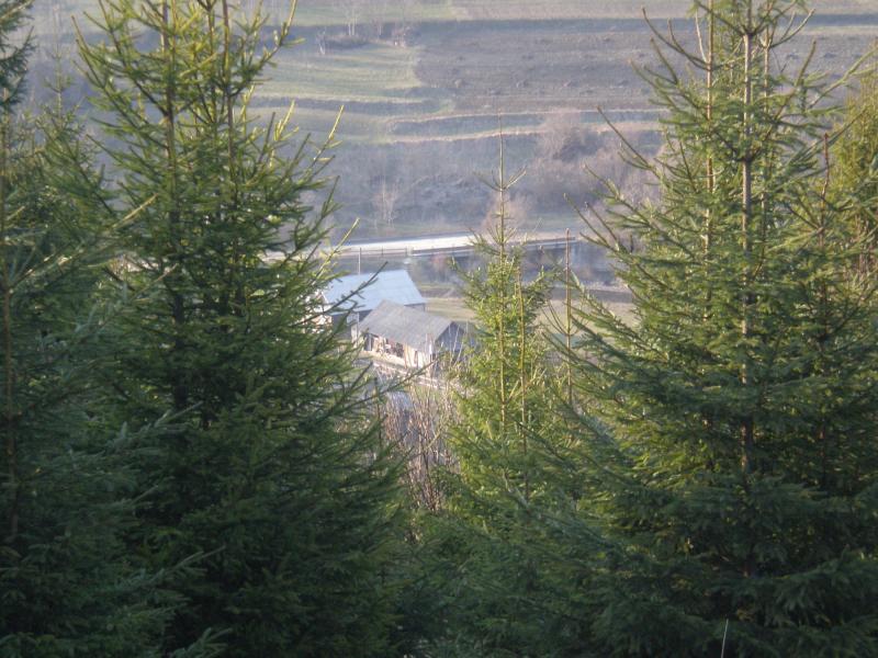 Краєвиди с.Бітля - Битля