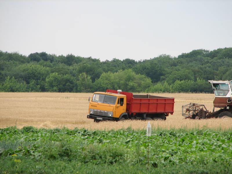 Фастівські поля - Фастівка