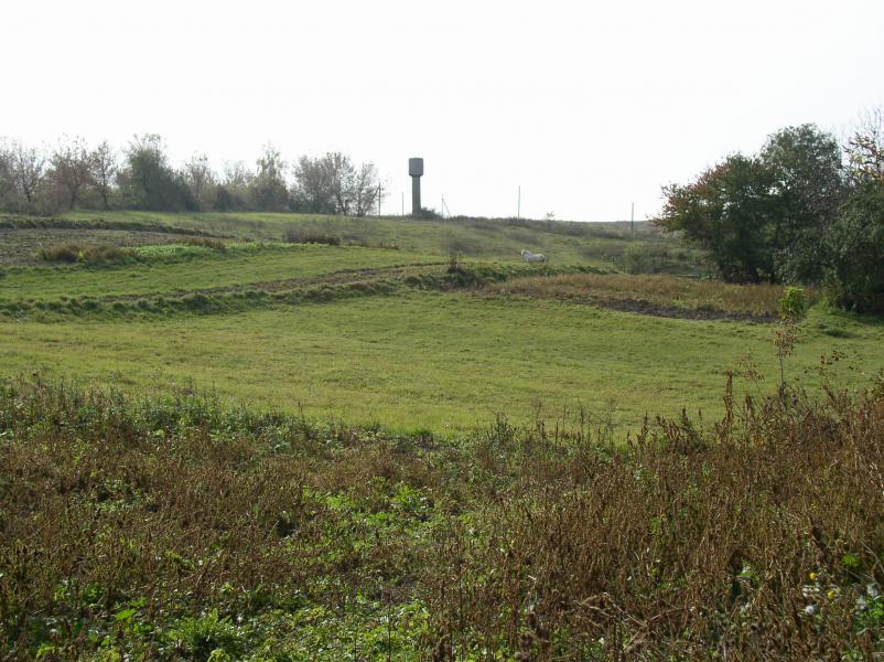 Мое село - Держаки