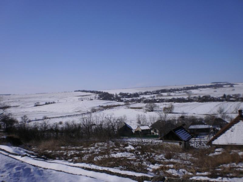 Рингач - Рингач