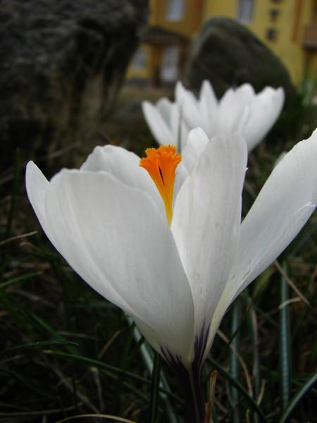 Гостиница 'Сокильское' - Тюдов