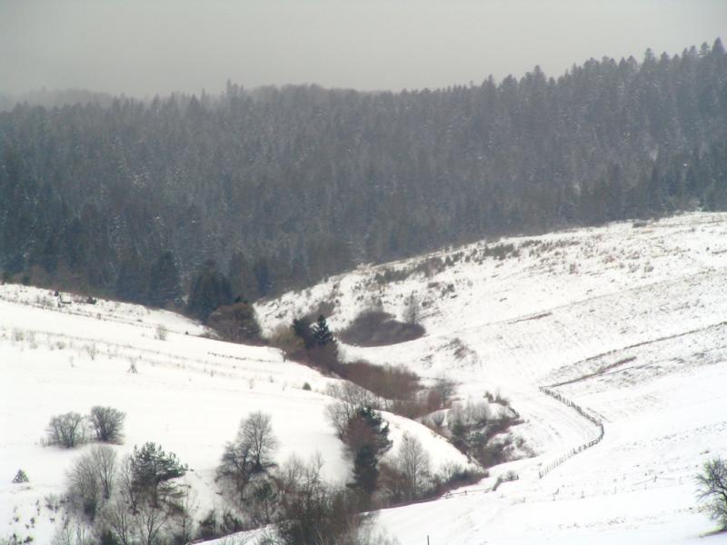 Зима - Росохи