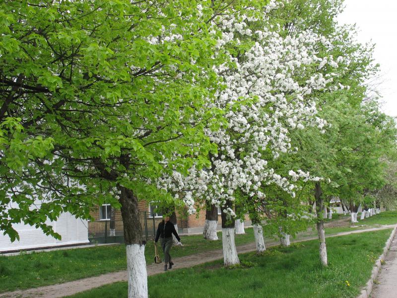 місто Звенигородка - Звенигородка
