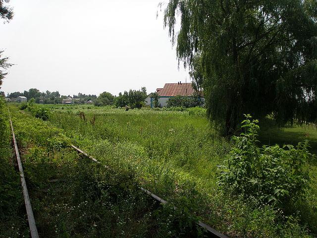 Парипси - Парипси