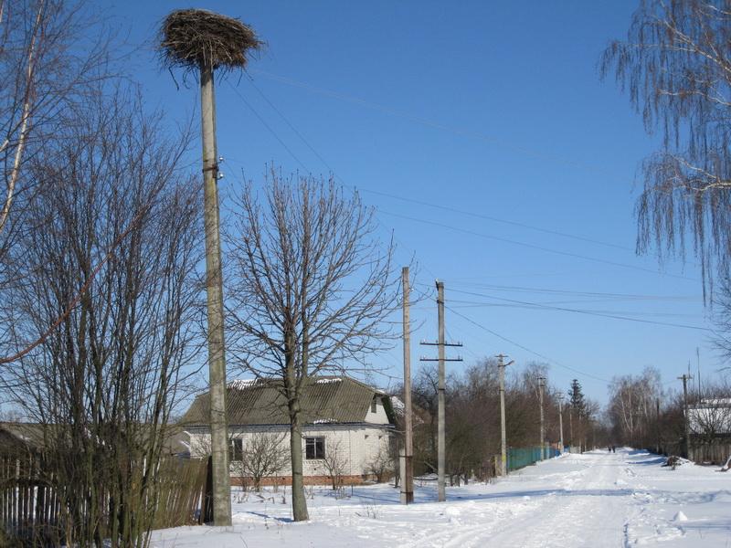 Село Ліски. - Ліски