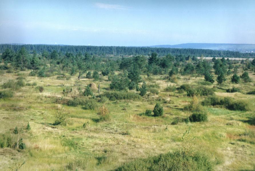 РОПЛЄНКЕ - Nebyliv