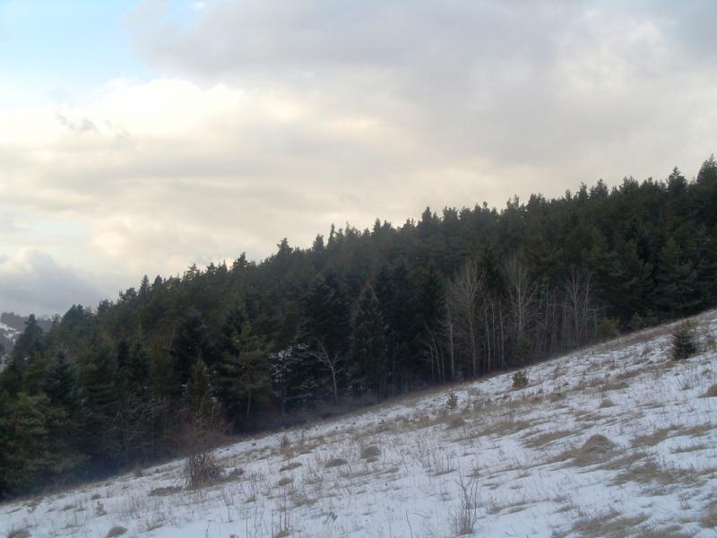 Зима - Росохи