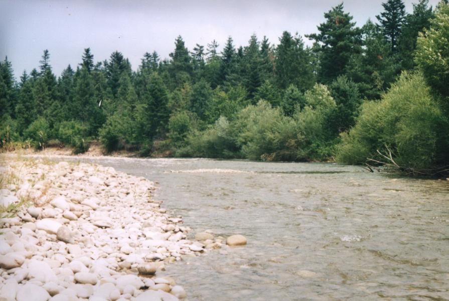 ЛОВАГИ - Ловаги