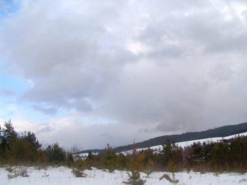 Зима - Росохи