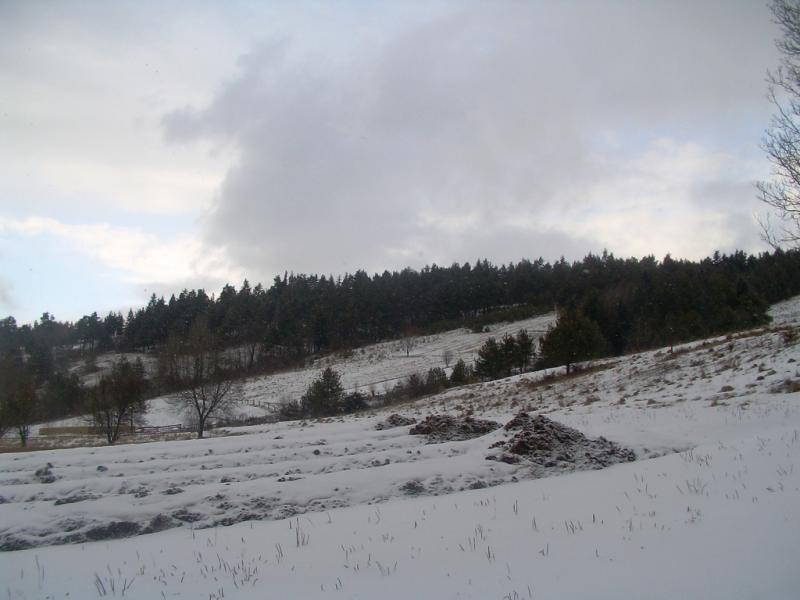 Зима - Росохи