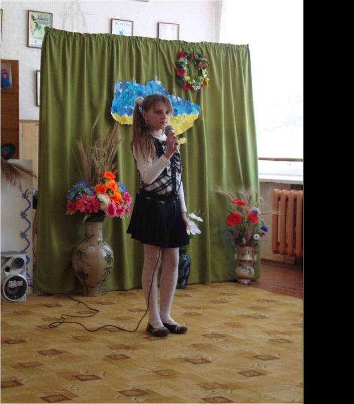 Школа - Несвіч