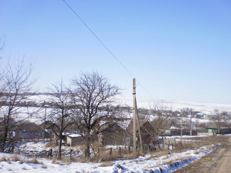 Рингач - Рингач