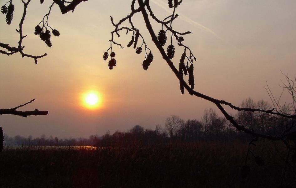 Ивчанские вечера - Ивча