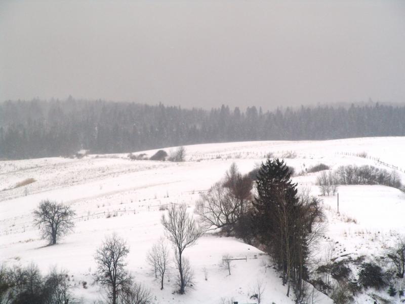 Зима - Росохи