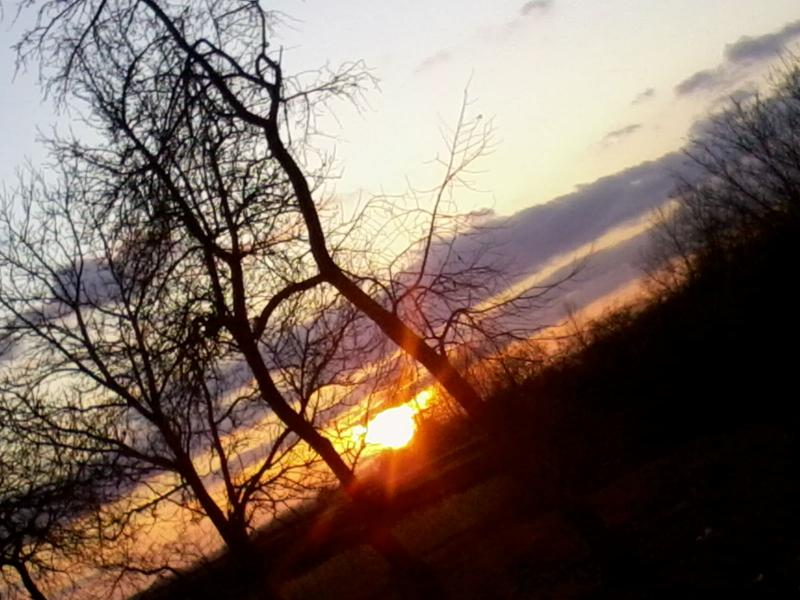 Пишненки - Пишненки