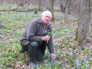 Сільські краєвиди