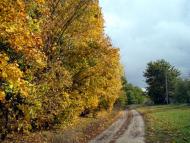 Краєвиди Остапівки