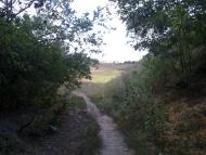 Фото М Макоти