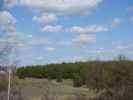 Весна прийшла