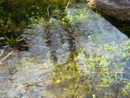 Весна прийшла