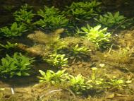 Весна прийшла