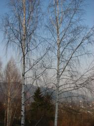 Гостиница 'Сокильское'