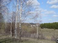 Весна прийшла