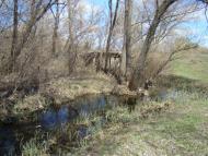 Весна прийшла