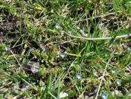 Весна прийшла