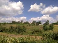 Фото М Макоти