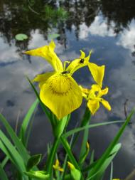 природа та традиції