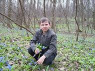 Сільські краєвиди