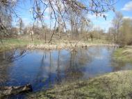 Весна прийшла