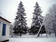 Краєвиди Остапівки